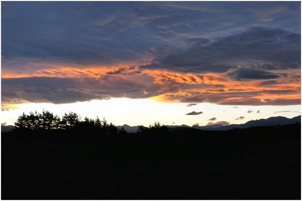 14 - Kaikoura (52).jpg